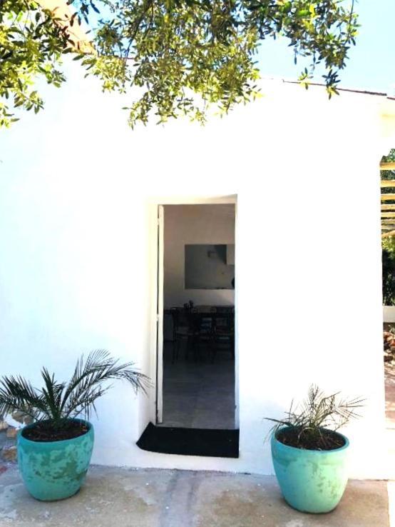 Villa Murmuri Ciutadella  Esterno foto